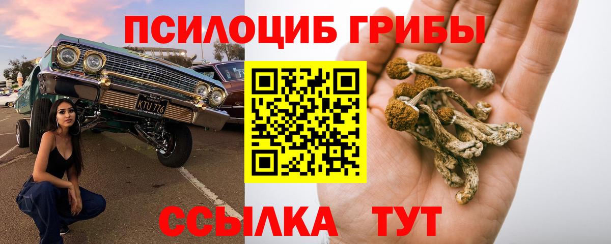 Псилоцибиновые грибы Magic Shrooms  Вход с VPN  Пугачёв 